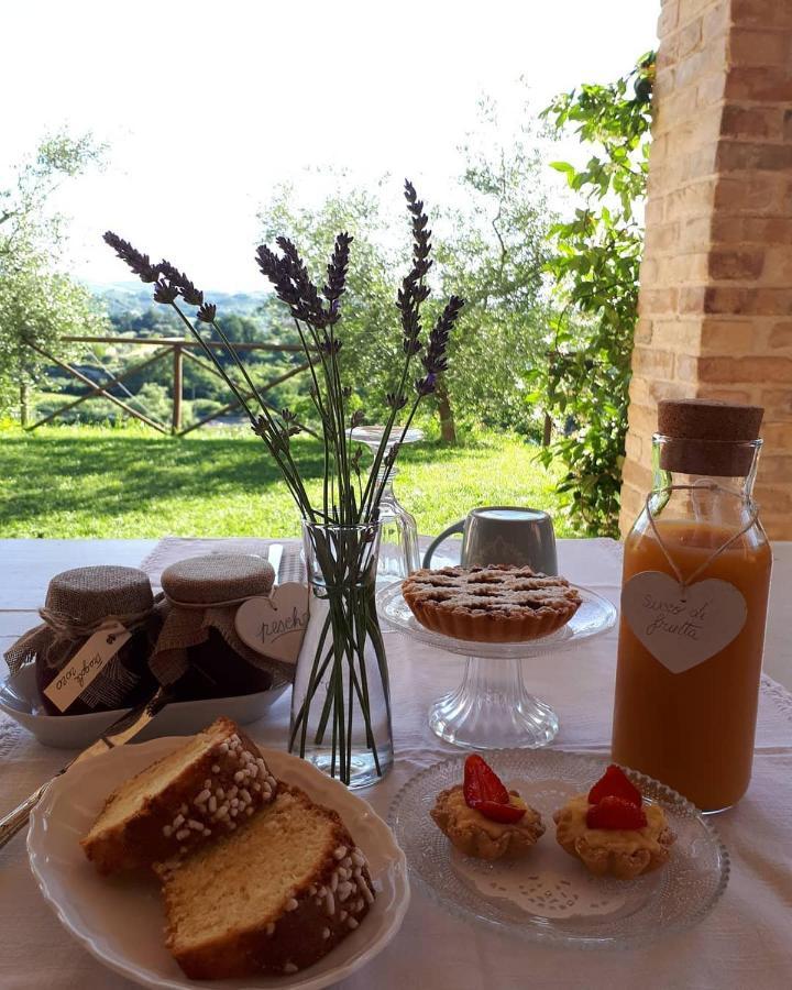 B&B L'Usignolo Ascoli Piceno Dış mekan fotoğraf
