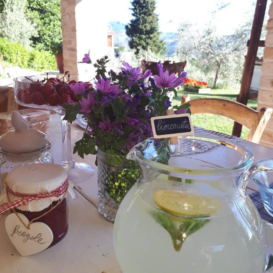 B&B L'Usignolo Ascoli Piceno Dış mekan fotoğraf