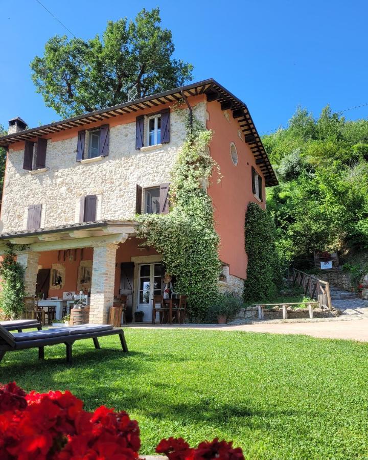 B&B L'Usignolo Ascoli Piceno Dış mekan fotoğraf