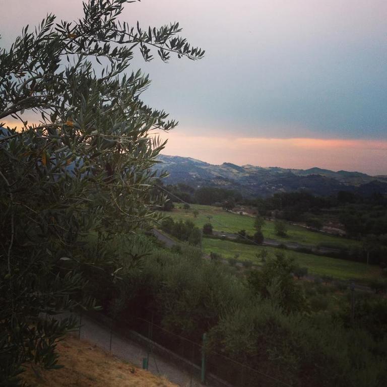 B&B L'Usignolo Ascoli Piceno Dış mekan fotoğraf
