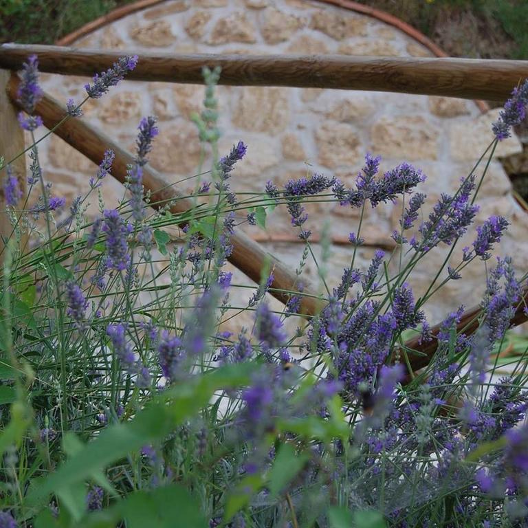 B&B L'Usignolo Ascoli Piceno Dış mekan fotoğraf