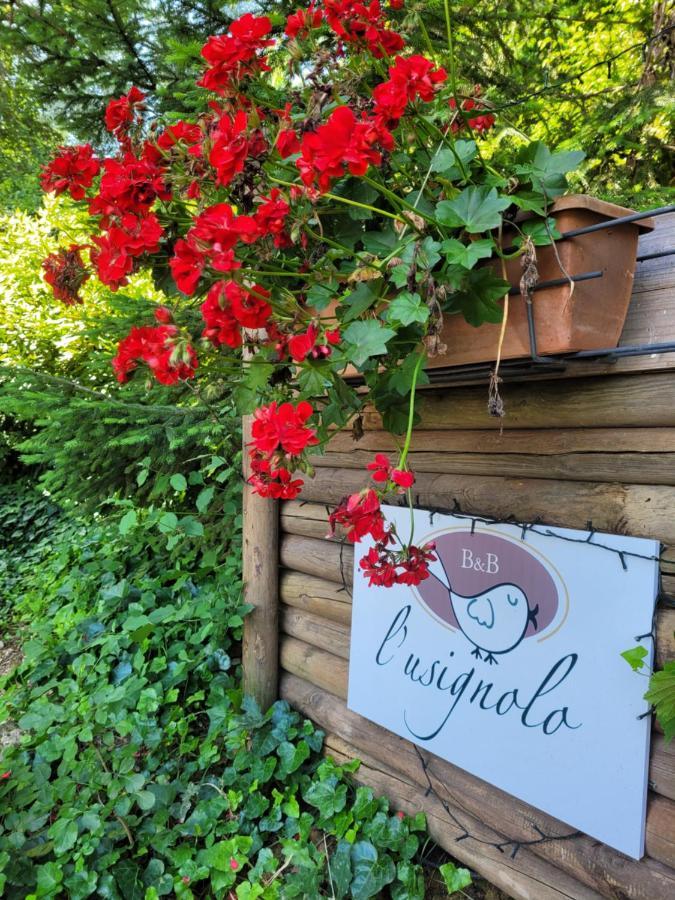 B&B L'Usignolo Ascoli Piceno Dış mekan fotoğraf
